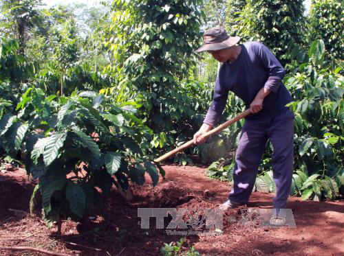 Chi cục thuế nợ thuế hơn 500 tỷ đồng nói gì? ảnh 1